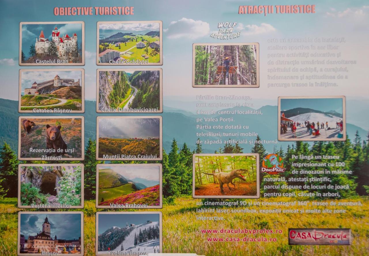 布朗 Prolex Turism Srl酒店 外观 照片
